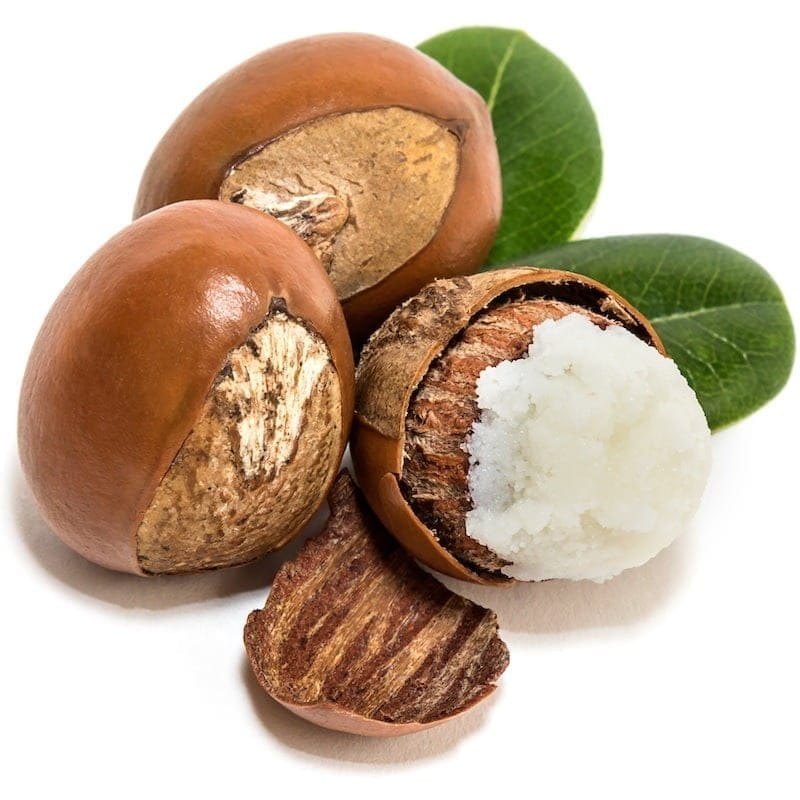 Shea Oil